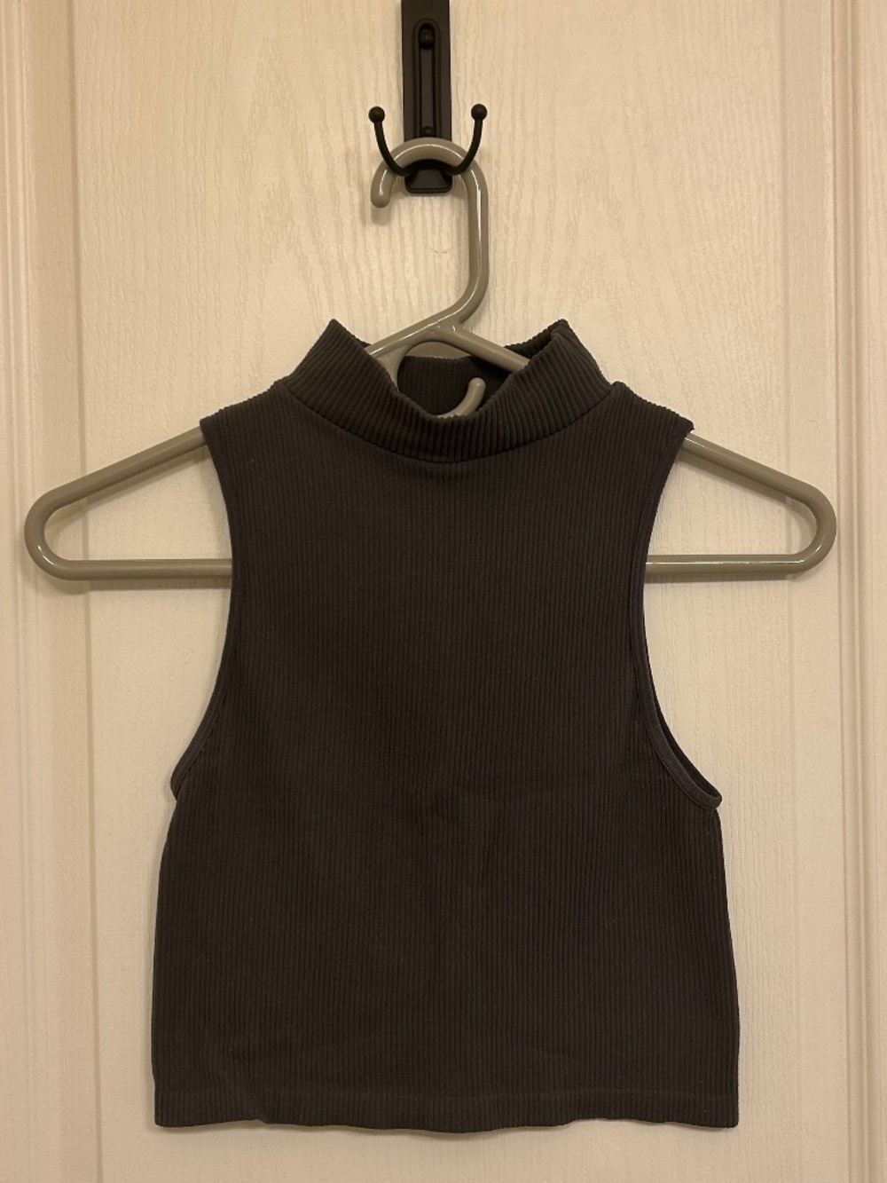 Zara Cropped Turtleneck